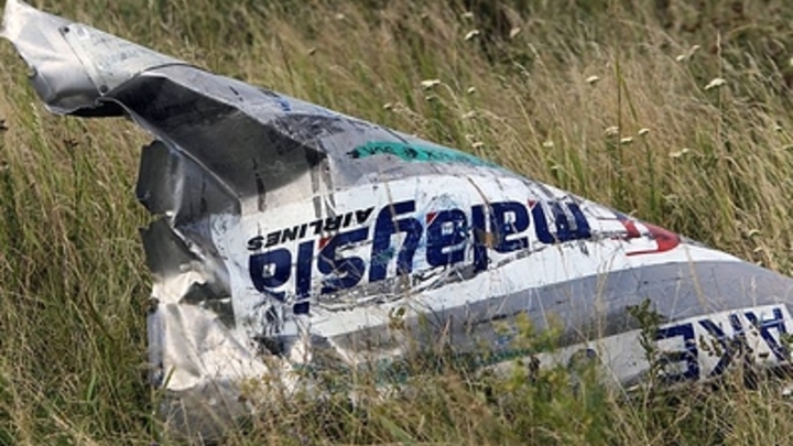 Когда вынесут приговор по MH17: В Гааге дали прогноз