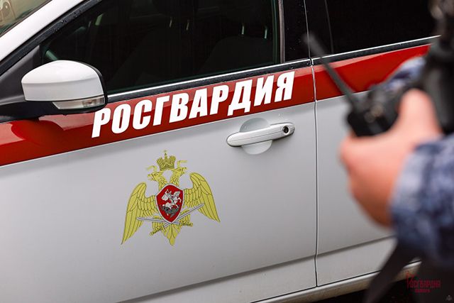 Телефонный звонок помог росгвардейцам изобличить грабителя