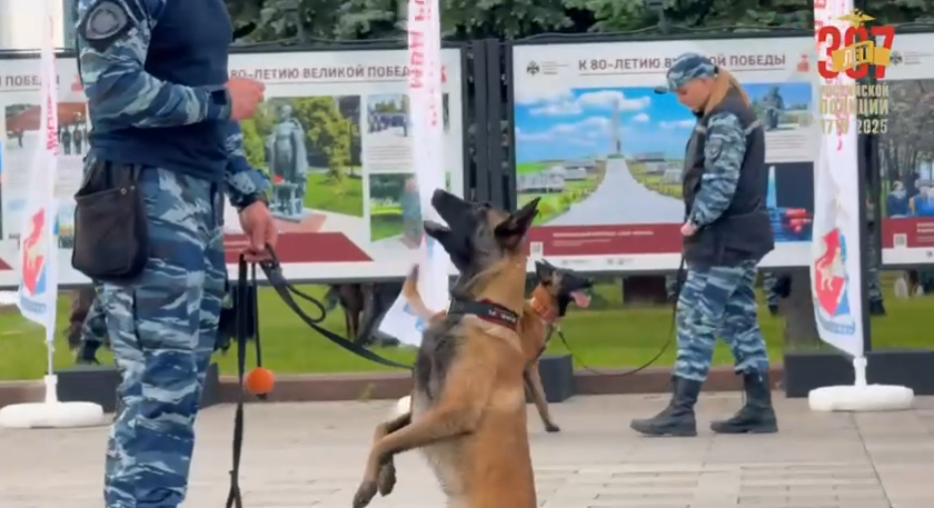 В парке Победы состоялся масштабный праздник 