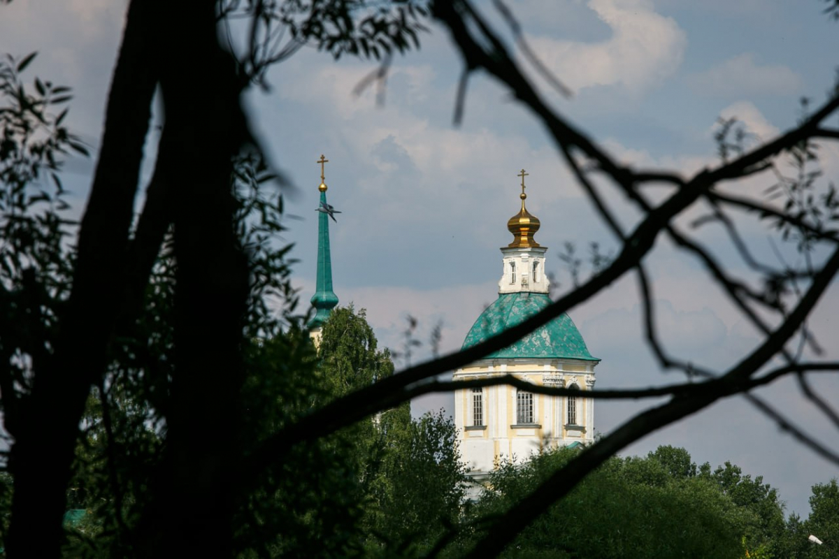  Иерей Фёдор Лукьянов предложил ввести «корпоративный демографический стандарт» для поддержки многодетных семей