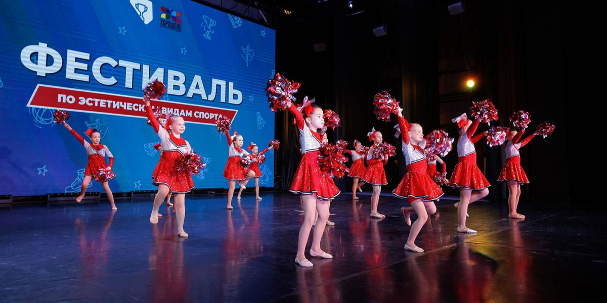 В Москве на 13% выросло число секций по эстетическим видам спорта