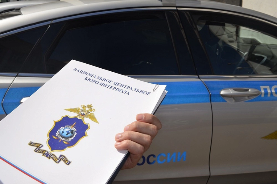 Полицейская дипломатия: 30 лет назад Россия стала участником Интерпола